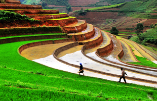 Sapa y auténtica Lao Cai